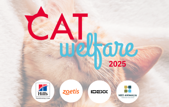 Cat Welfare - Editie 5