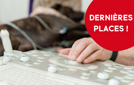 Cycle en échocardiographie canine - édition 9