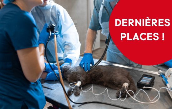 ID1138 - Techniques d'endoscopie digestive et respiratoire - &Eacute;dition 3