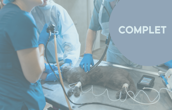 ID1138 - Techniques d'endoscopie digestive et respiratoire - &Eacute;dition 3