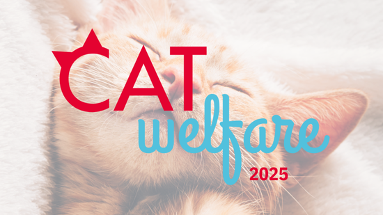 ID1052 - Cat Welfare Congrès - édition 5