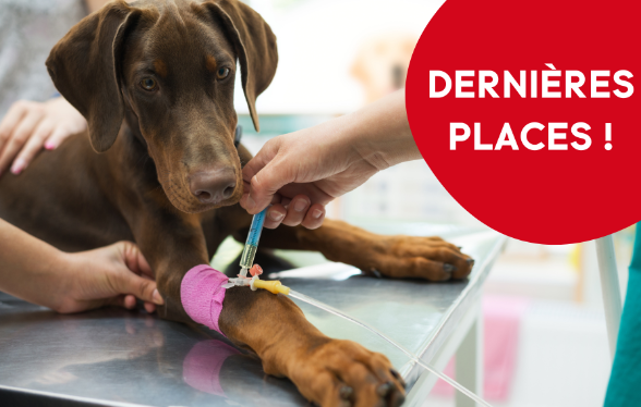 Parcours didactique en médecine interne - Edition 1