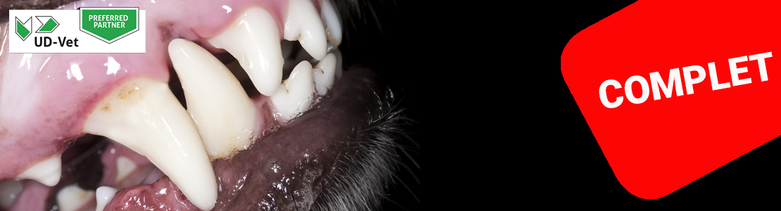 Cycle en Dentisterie du chien et du chat - édition 5