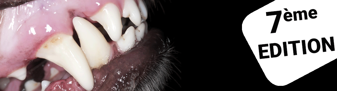 Cycle en dentisterie du chien et du chat - édition 7